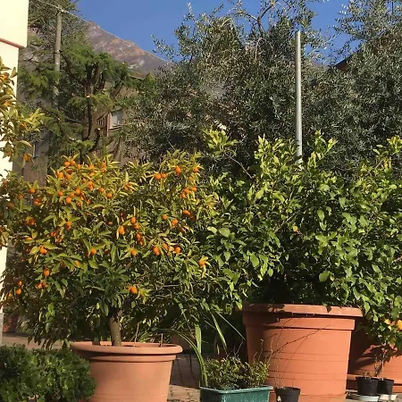 La Casa Degli Ulivi ליירנה