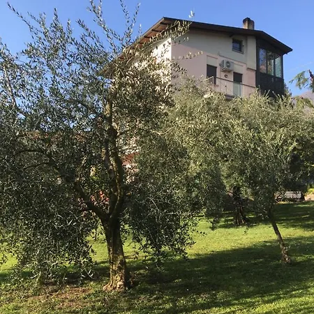 La Casa Degli Ulivi Daire