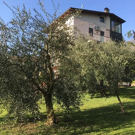 La Casa Degli Ulivi 公寓