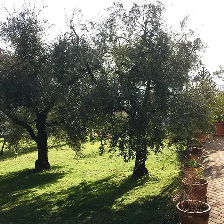 דירה La Casa Degli Ulivi ליירנה